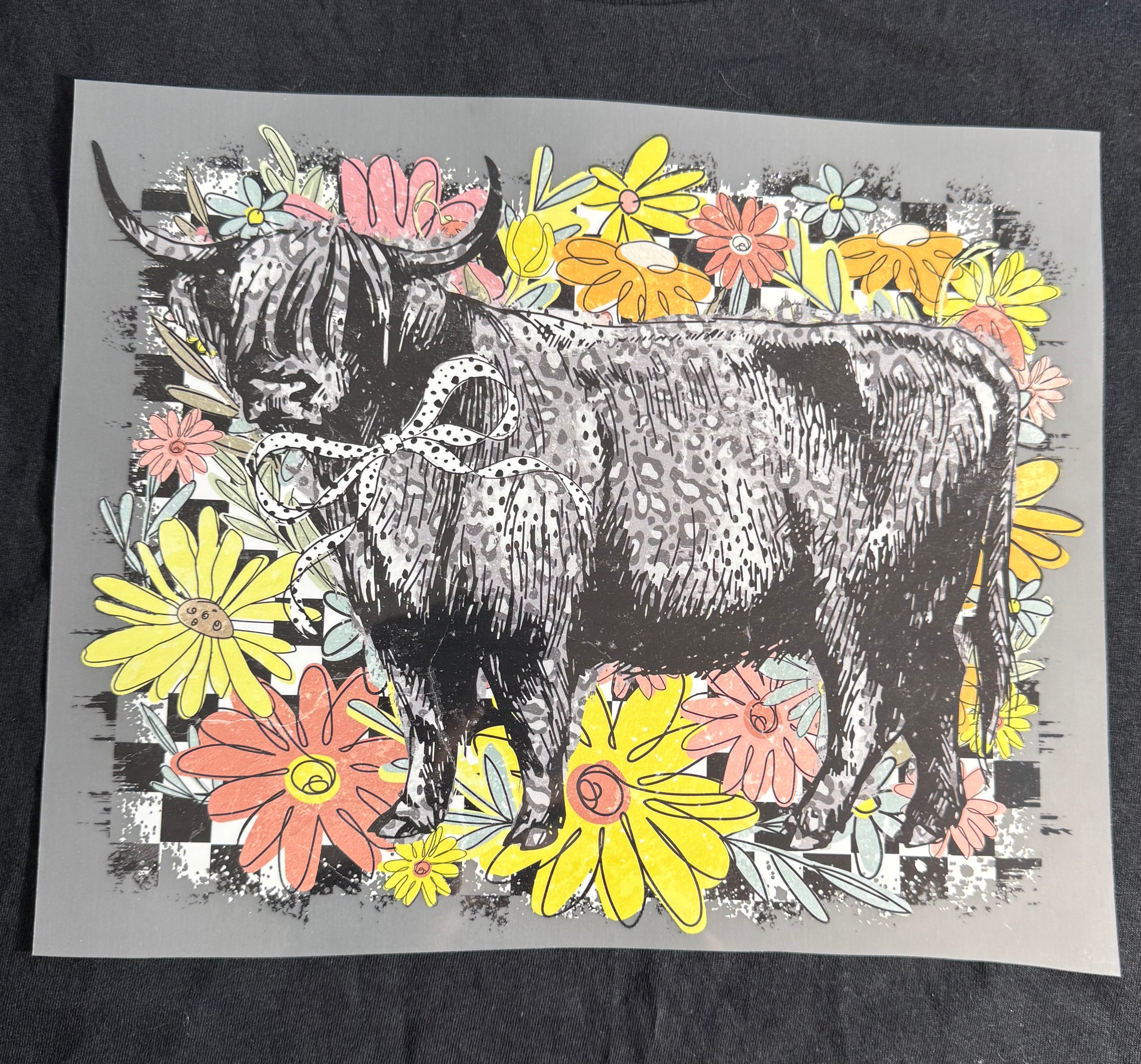 Highland cow