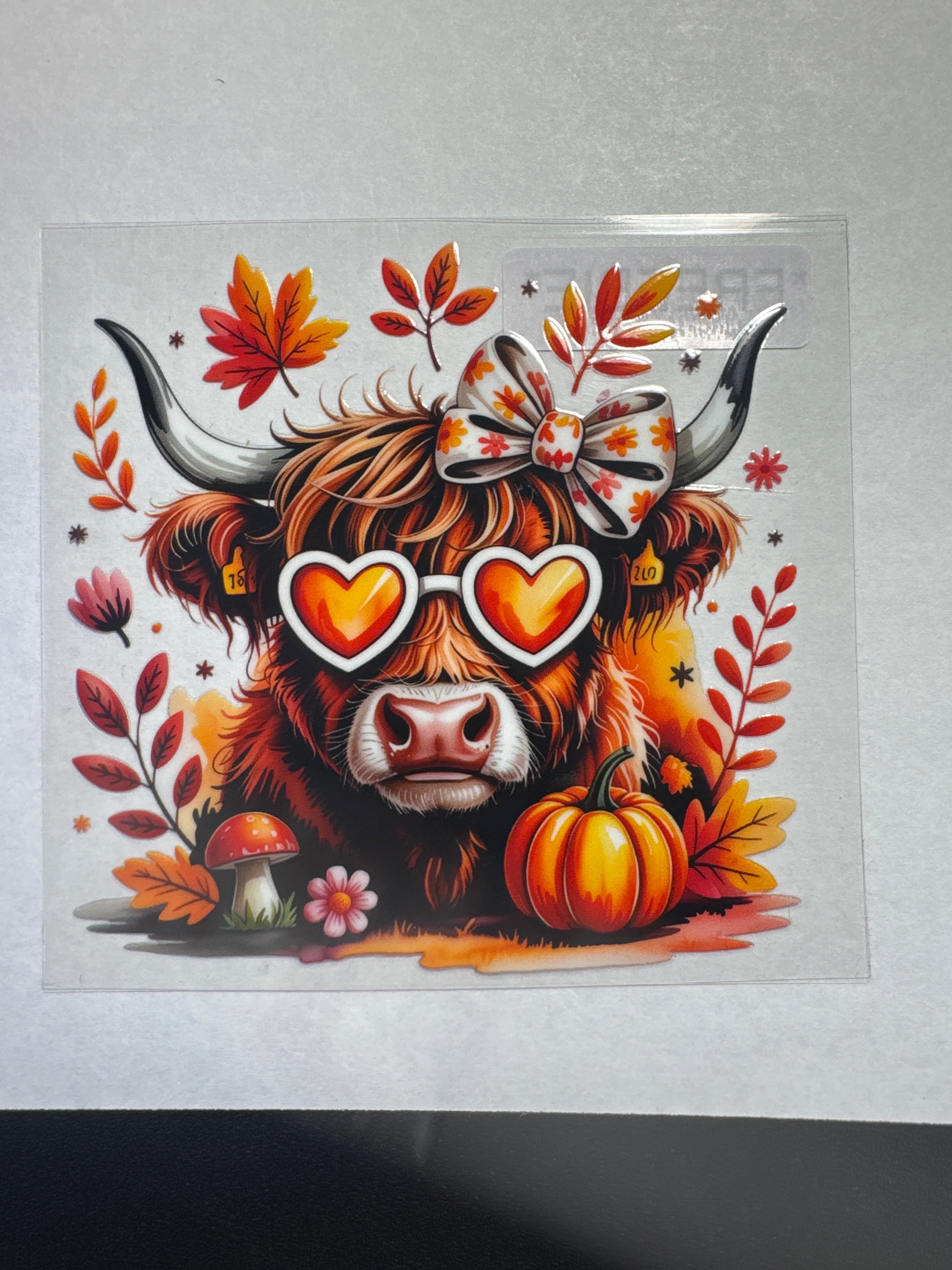 Fall Cow